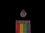 L_V23d4023 A16q179 U817 dM bd f47.jpg L_V23d4023 A16q179 U817 dM bd f47